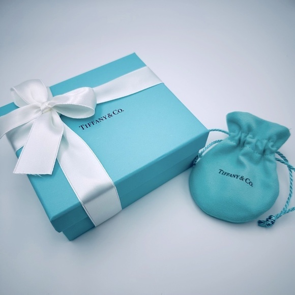 RARE Tiffany & Co. Nautical Charm Bracelet 7.25” Star Anchor Fish Boat Packaging - Picture 15 of 15